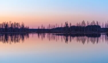 immagine di un lago con riflessi del cielo rosaal tramonto