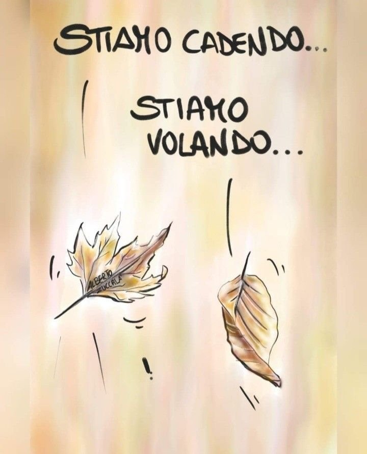 felicità 